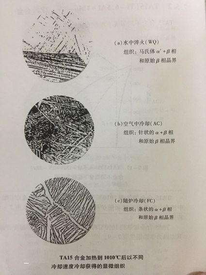 1520843573772159.jpg 7-18.jpg