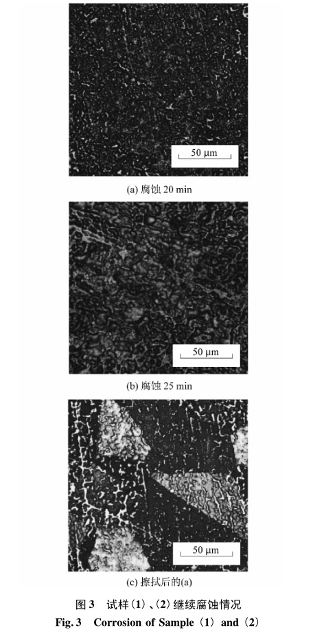 試樣(1)、(2)繼續腐蝕情況