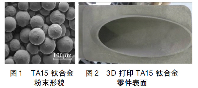 1664164334791072.jpg t12.jpg