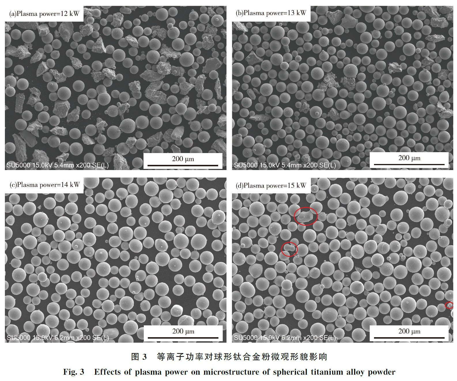 1668870892124292.jpg lt3.jpg