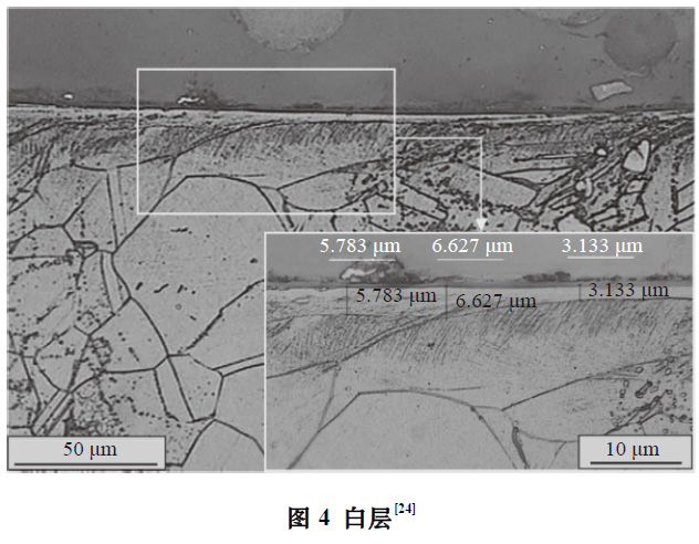 1673349682727446.jpg t4.jpg