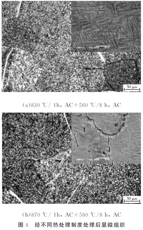 1677486400396410.jpg t4.jpg