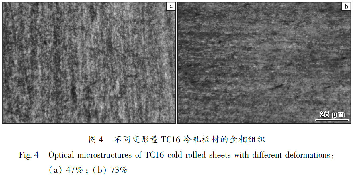 1684900269170250.jpg t4.jpg