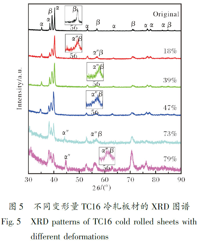 1684900283985971.jpg t5.jpg