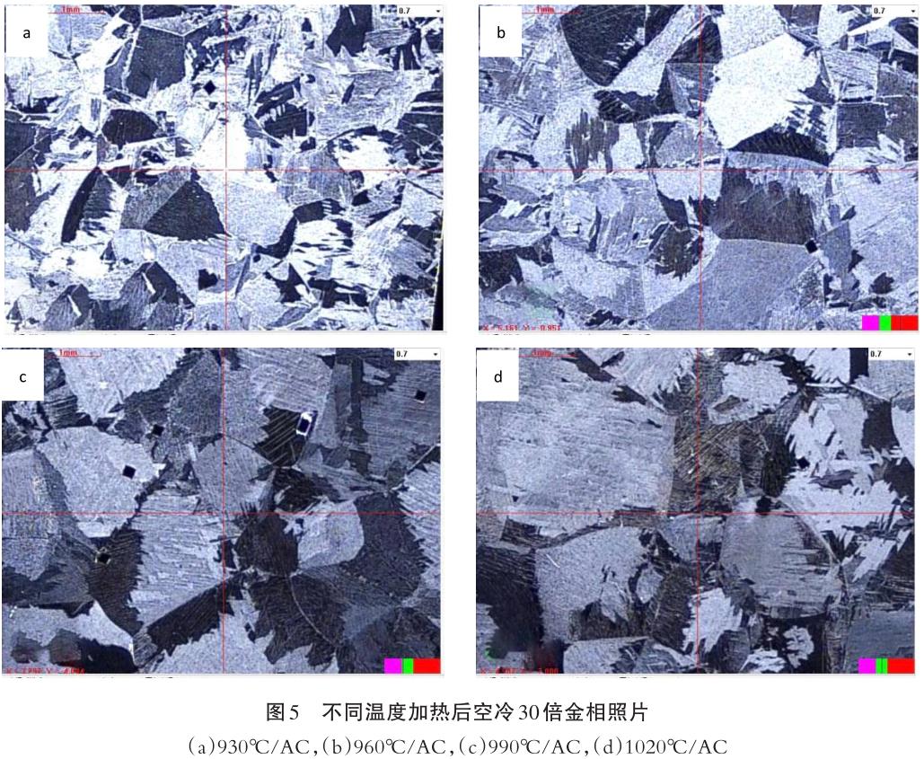 1686842639979902.jpg t5.jpg