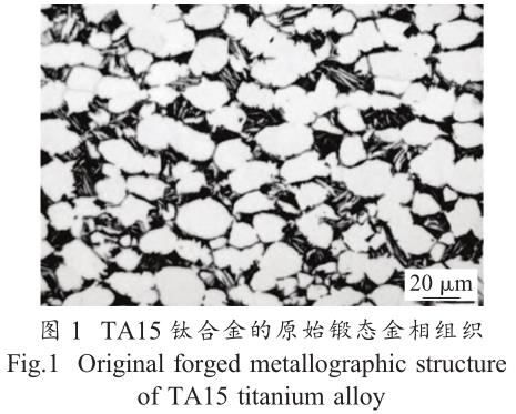 1688907138441916.jpg t1.jpg