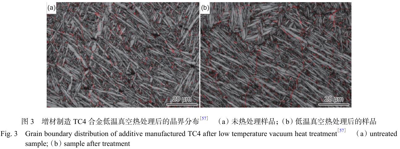 1692867416679509.jpg 3.jpg