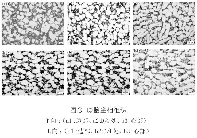 1694470825161582.jpg t3.jpg