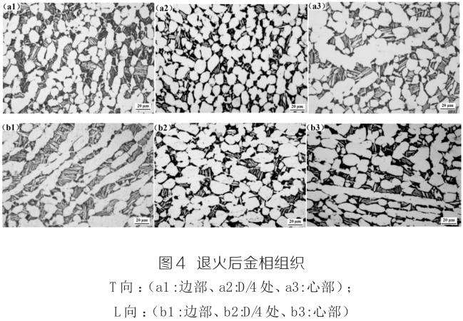 1694470840408564.jpg t4.jpg