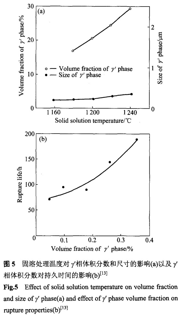 1699445910812638.jpg t5.jpg