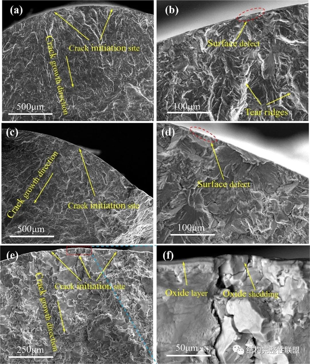 1699865508170173.jpg 2.jpg