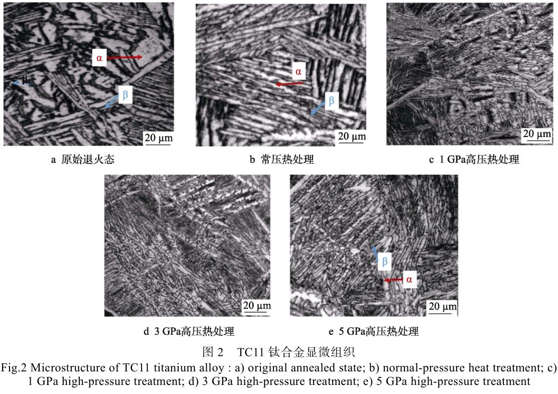 1702470963273555.jpg t2.jpg