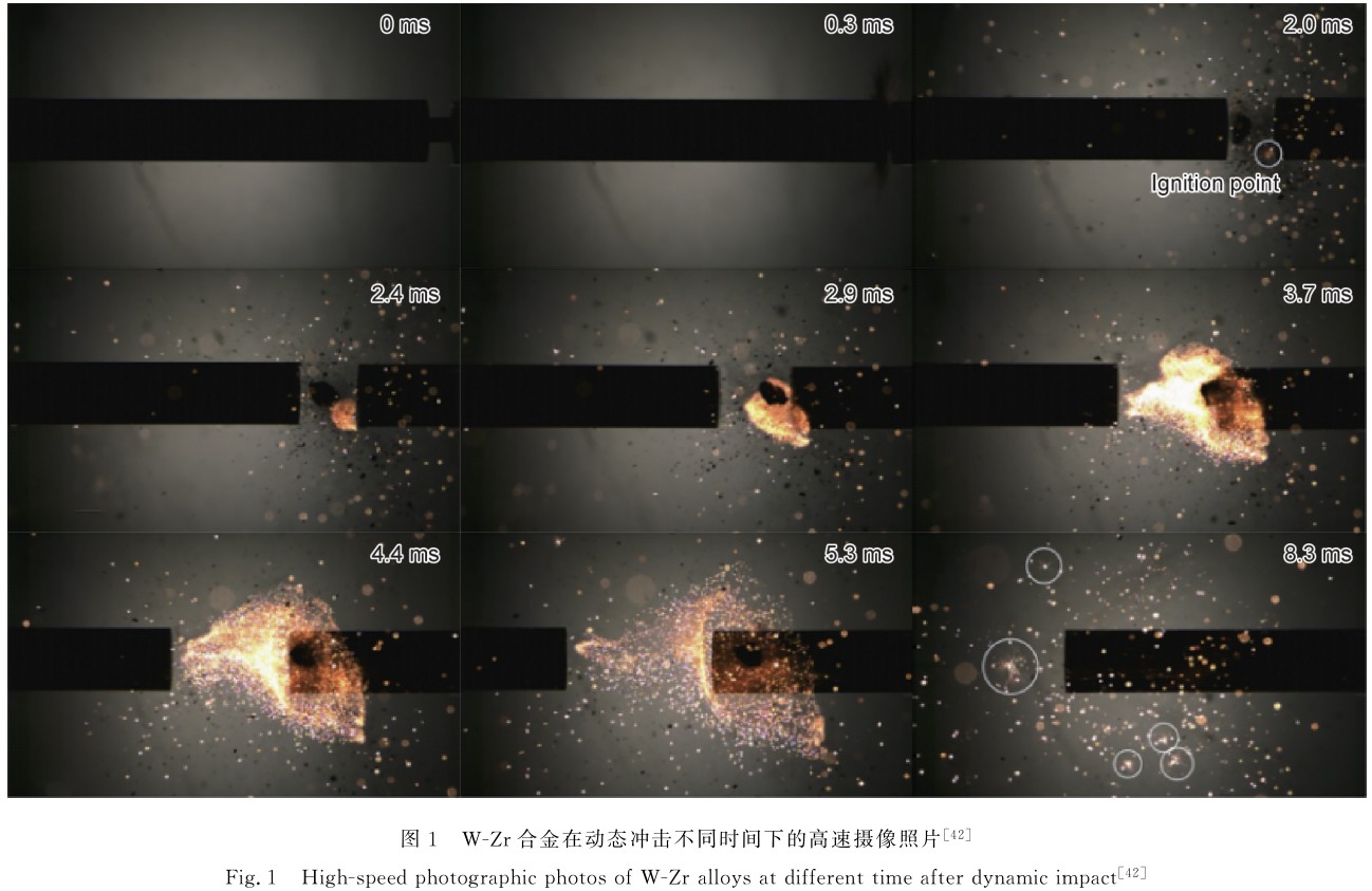 1704701569606849.jpg t1.jpg