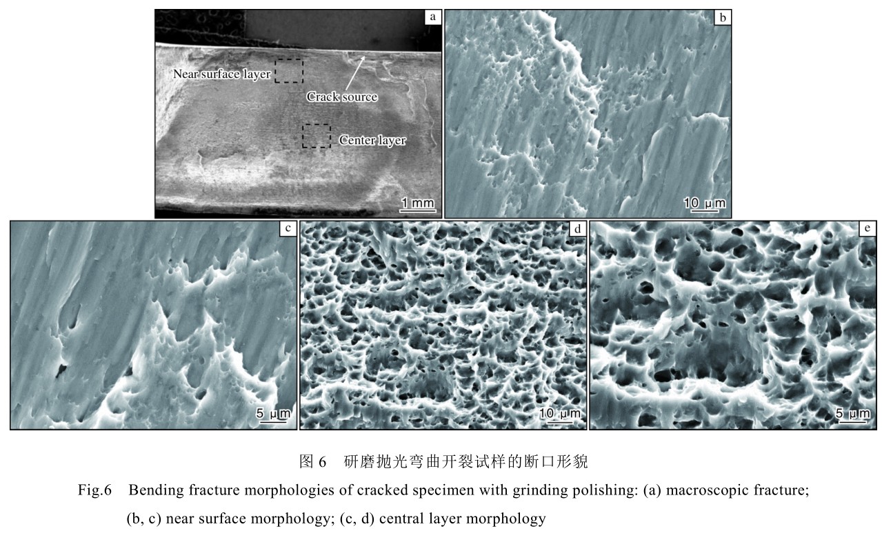 1704703167581184.jpg t6.jpg