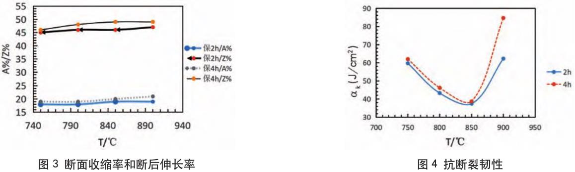 1705794029870985.jpg t3-4.jpg