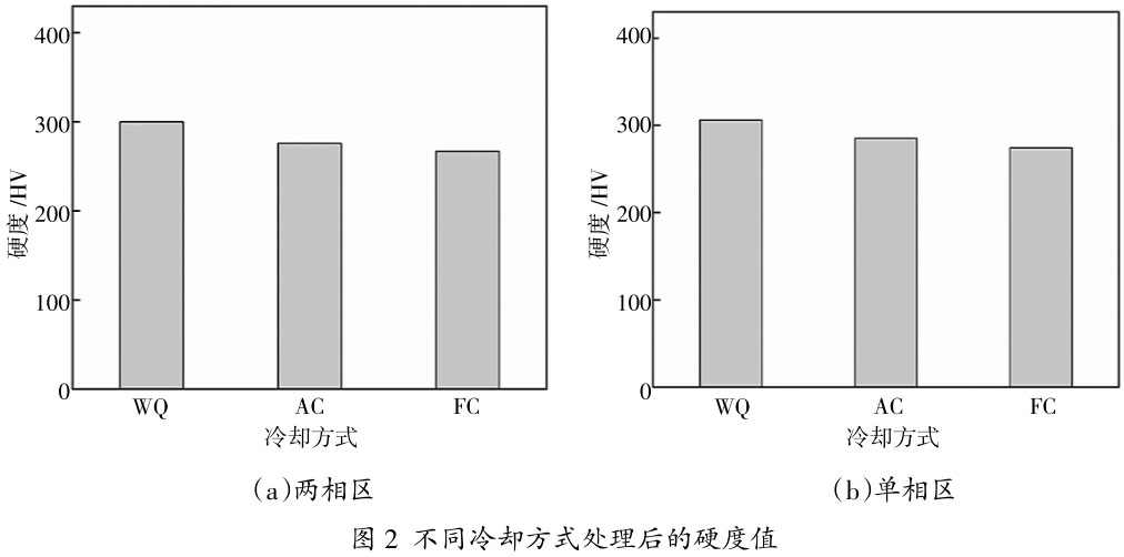 1707985096263472.jpg t2.jpg