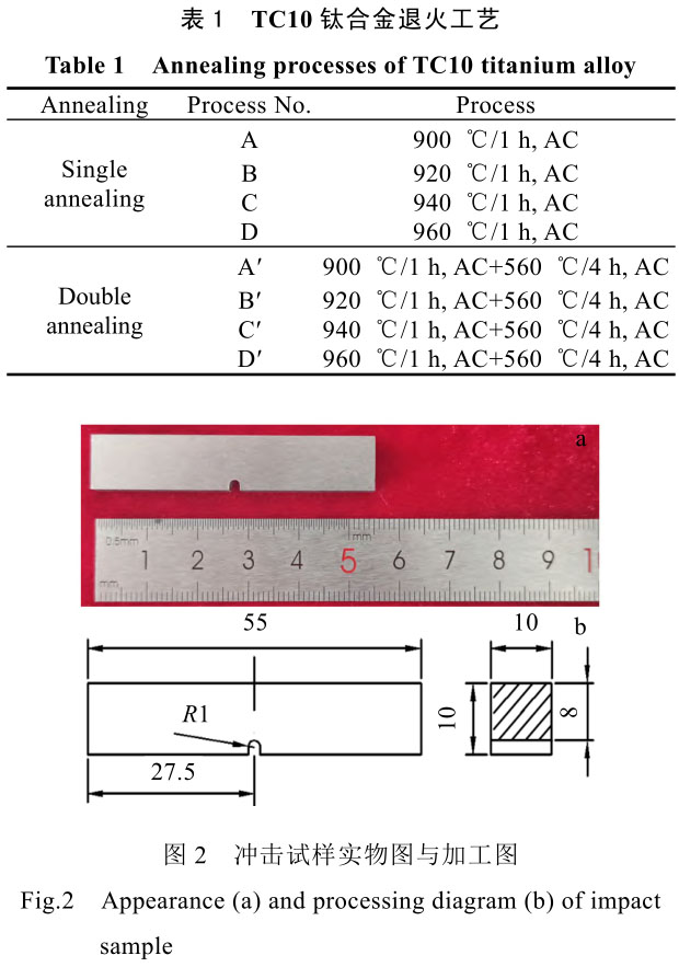 1708444116868930.jpg b1-t2.jpg