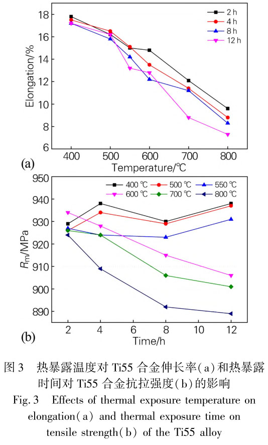 1711447280545063.jpg t3.jpg