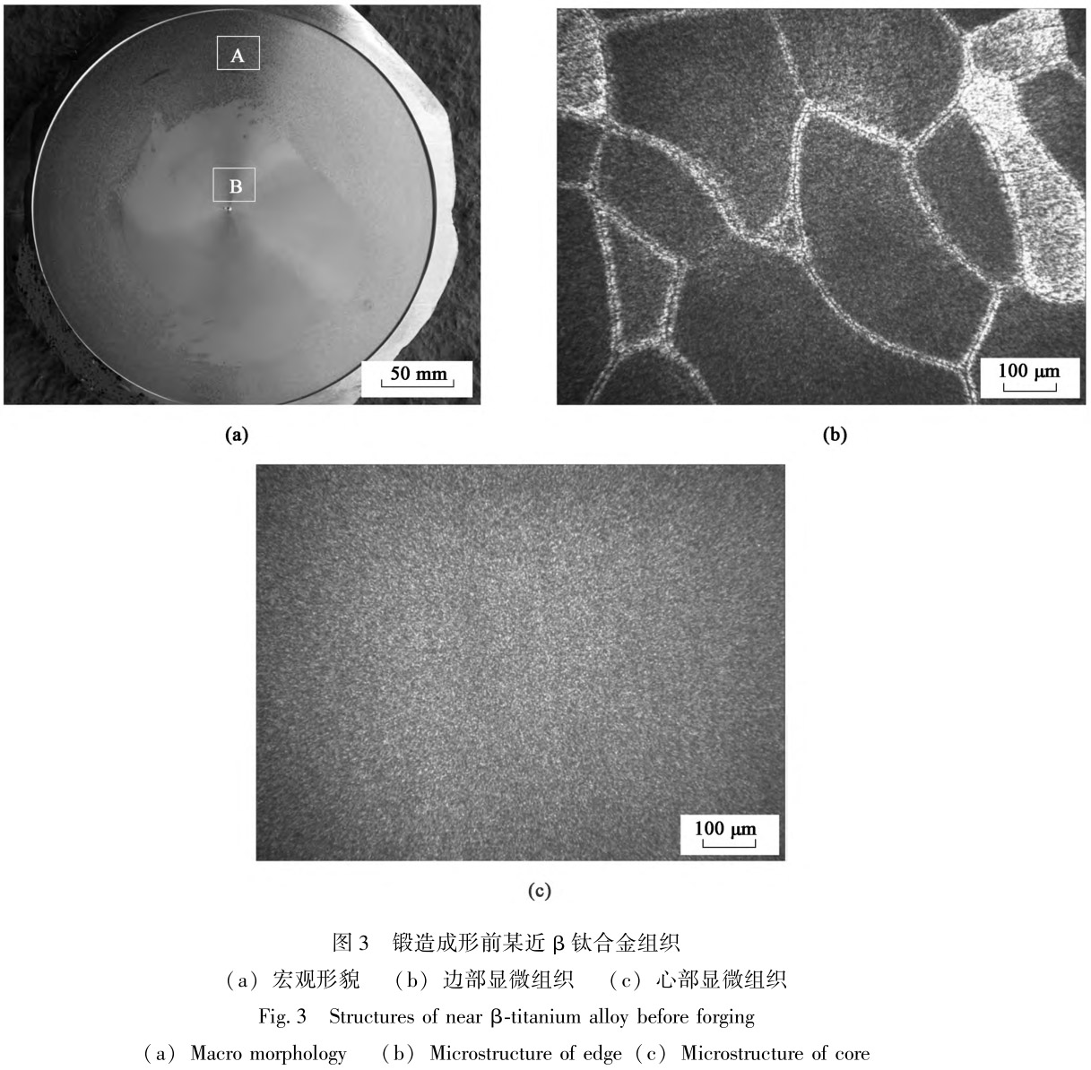 1712454525634051.jpg t3.jpg