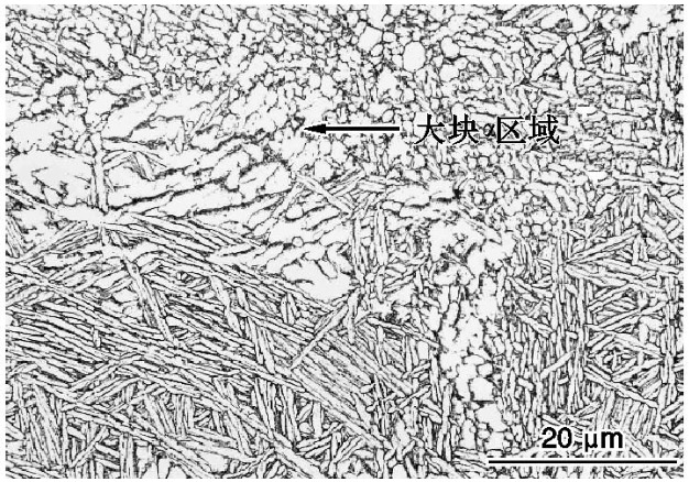 1712482555578561.jpg 3.jpg