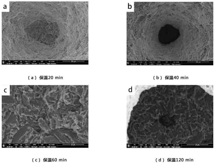 1712891833134872.jpg 8.jpg