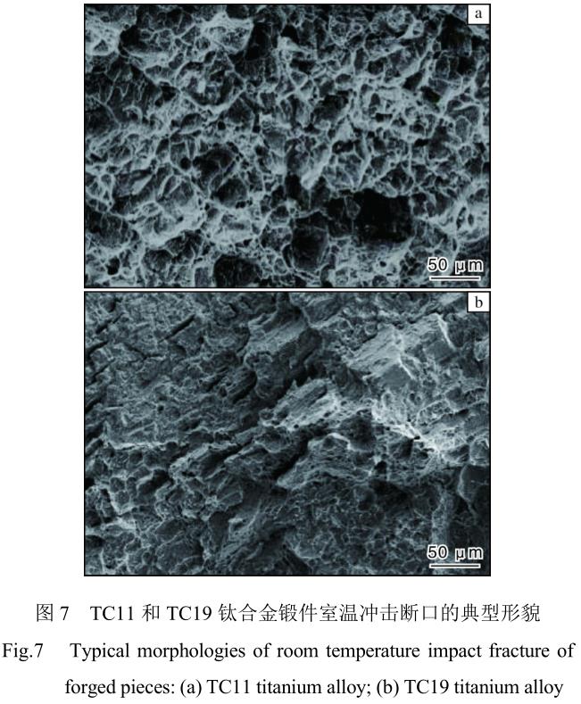 1713444086881863.jpg 360截圖1624122477122124.jpg