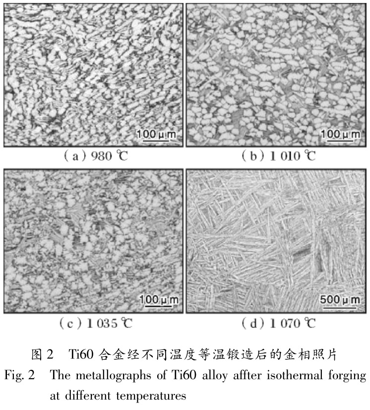 1713497089876893.jpg t2.jpg