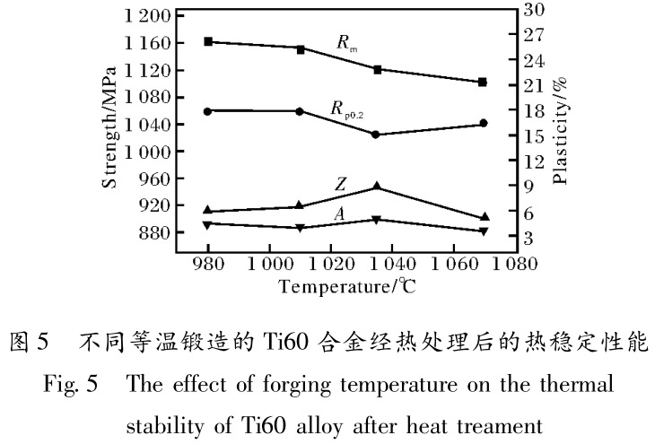 1713497122590211.jpg t5.jpg