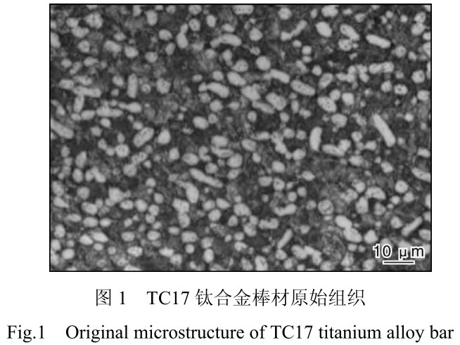 1719969424753384.jpg 1.jpg