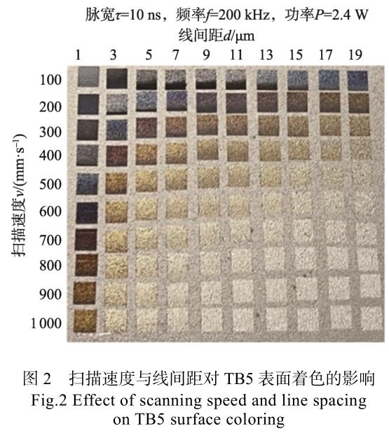 1723731031470794.jpg t2.jpg