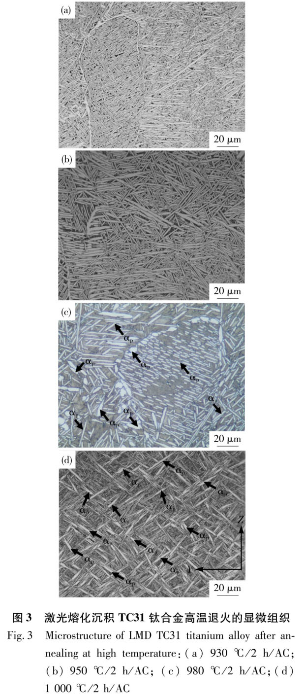 1723799181370296.jpg t3.jpg