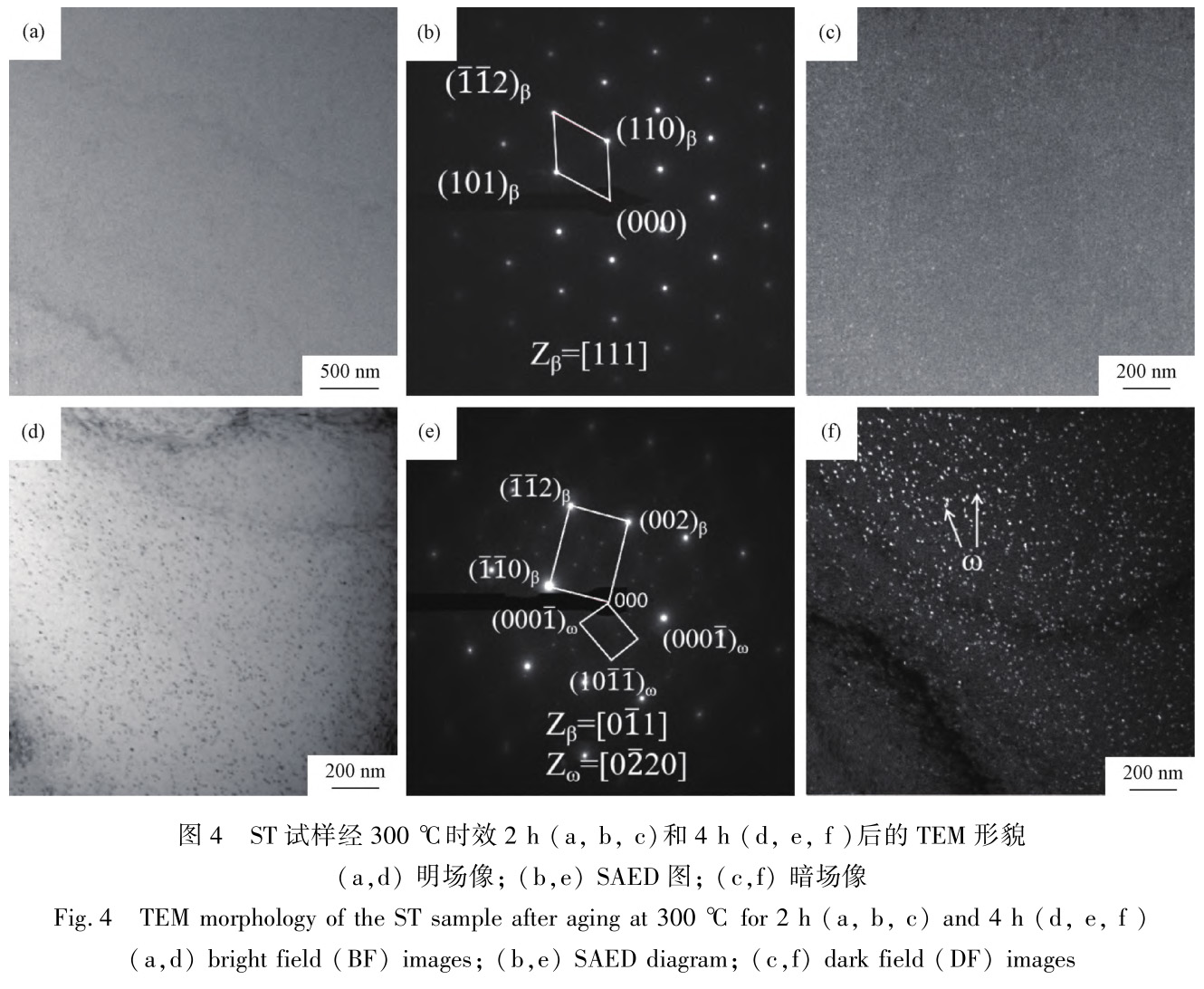 1728126488148020.jpg t4.jpg