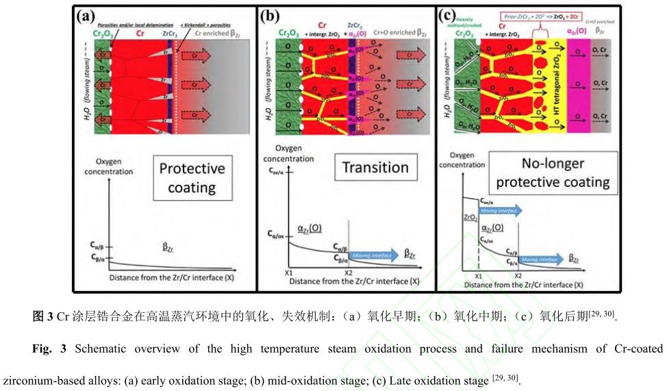 1729135192630042.jpg 3.jpg