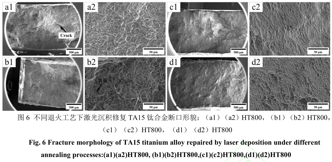 1729343049962167.jpg 6.jpg