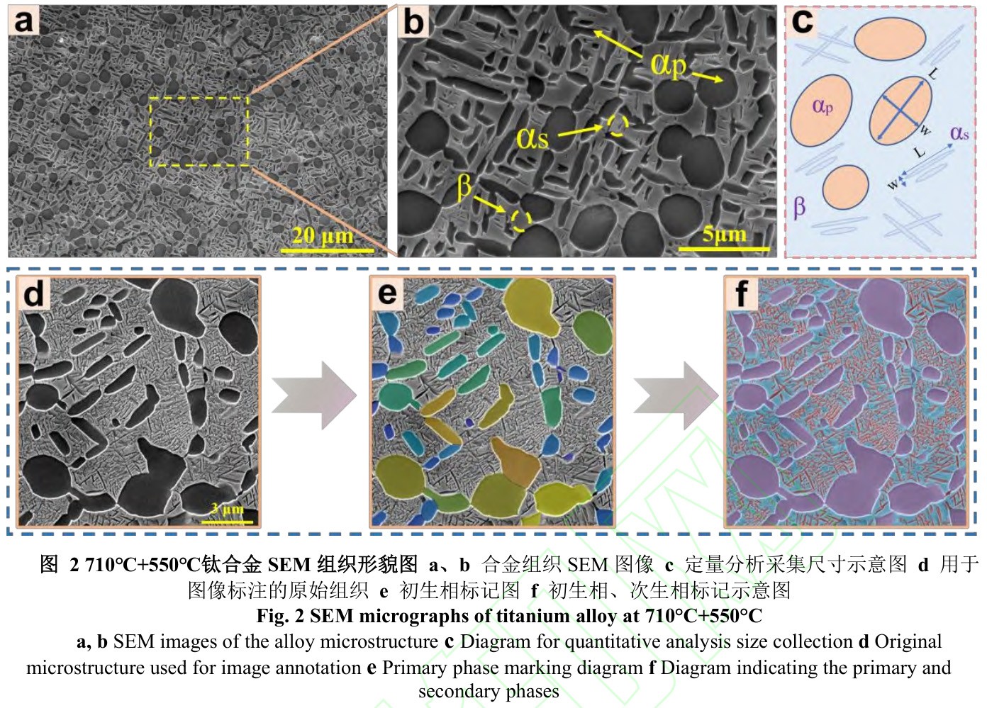 1729675138709434.jpg 2.jpg