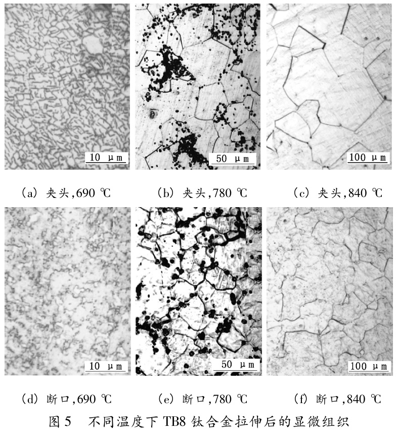 1730257616251755.jpg t5.jpg