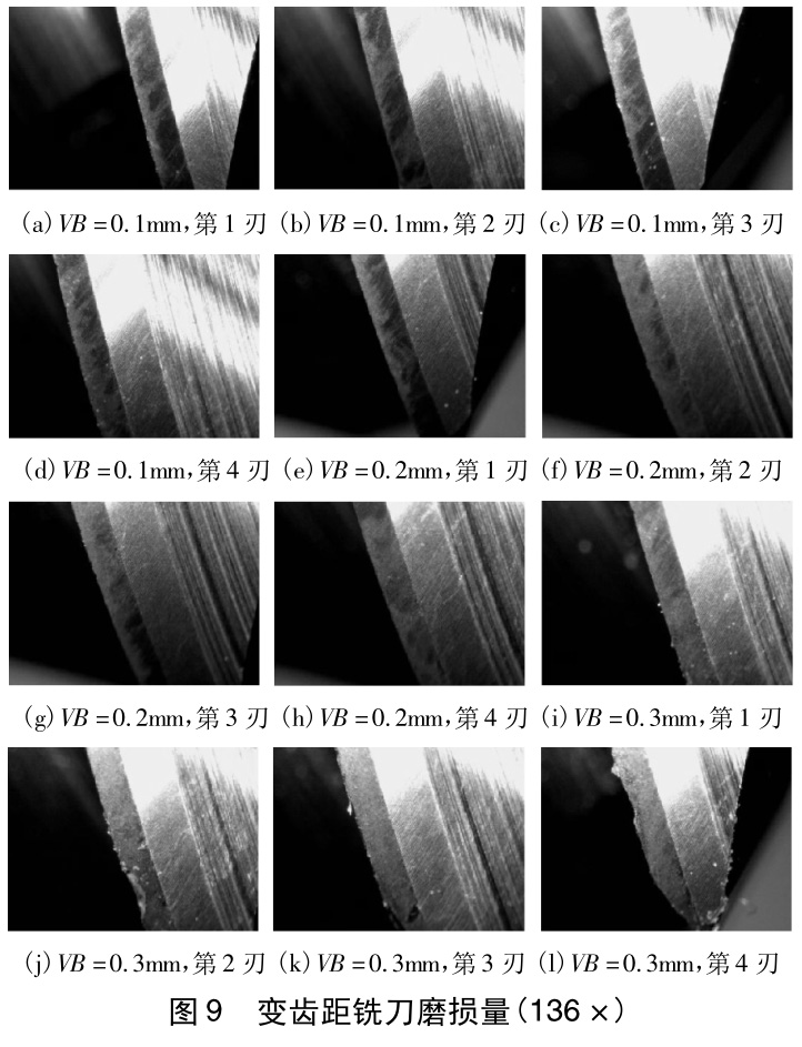 1733191951668285.jpg 9.jpg