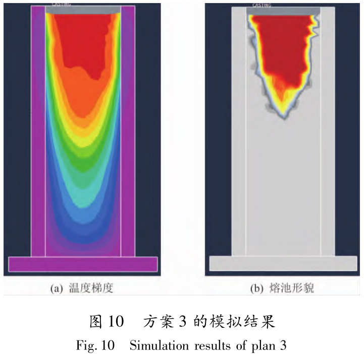 1733366934296667.jpg 10.jpg