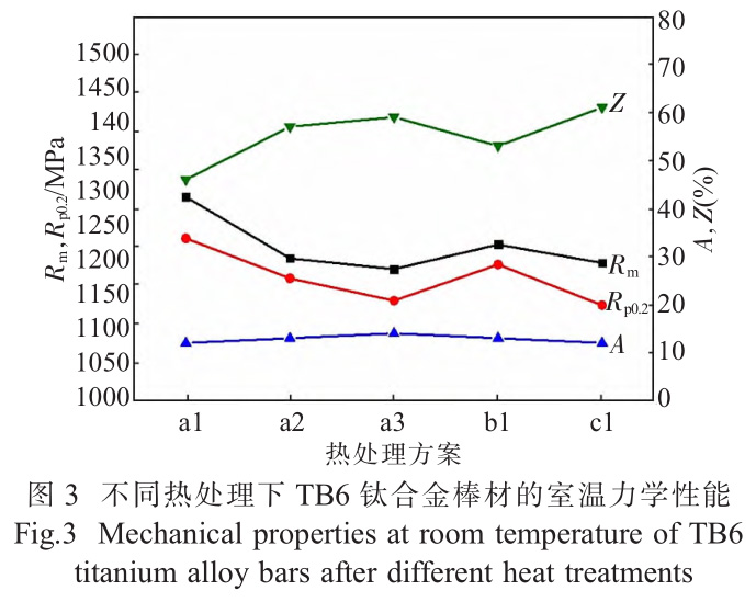 1733644581782449.jpg t3.jpg