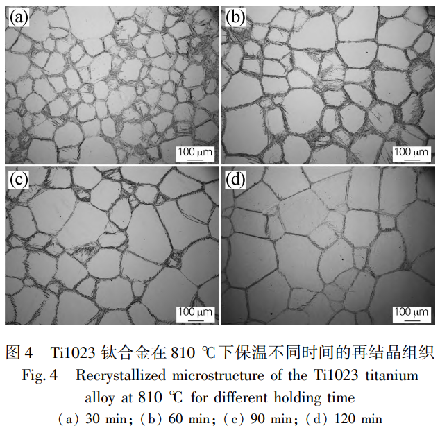 1737429035630031.png 截圖20250121110803.png