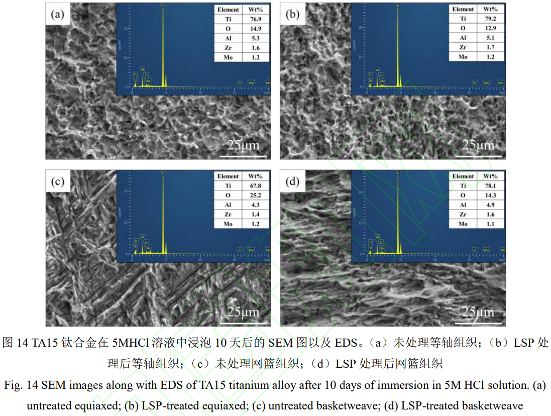 1756392643563090.png 截圖20250828224646.png