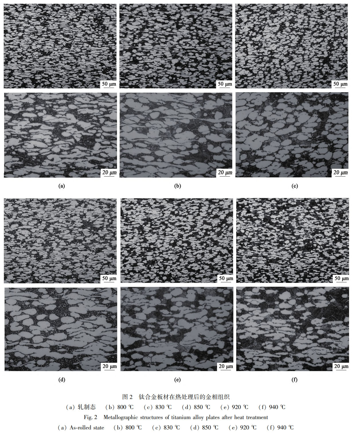 1757474626920668.jpg 未標(biāo)題-1.jpg