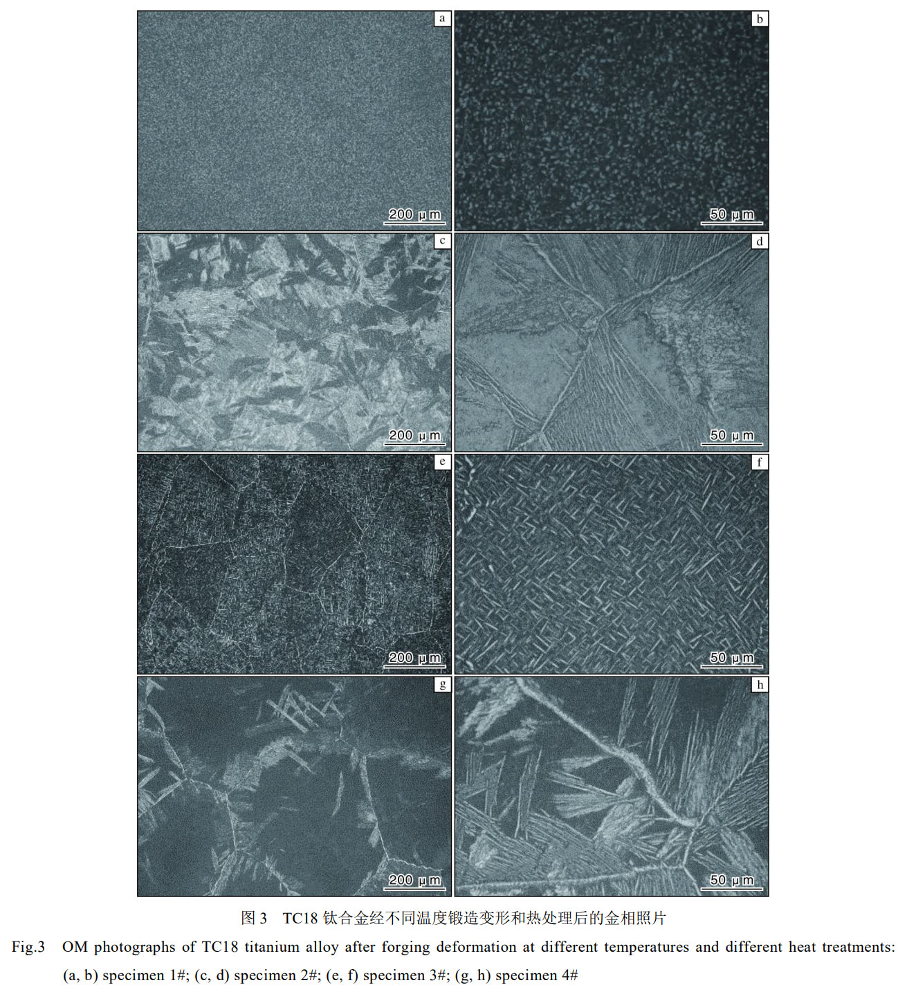 1758077213199680.jpg 未標題-2.jpg