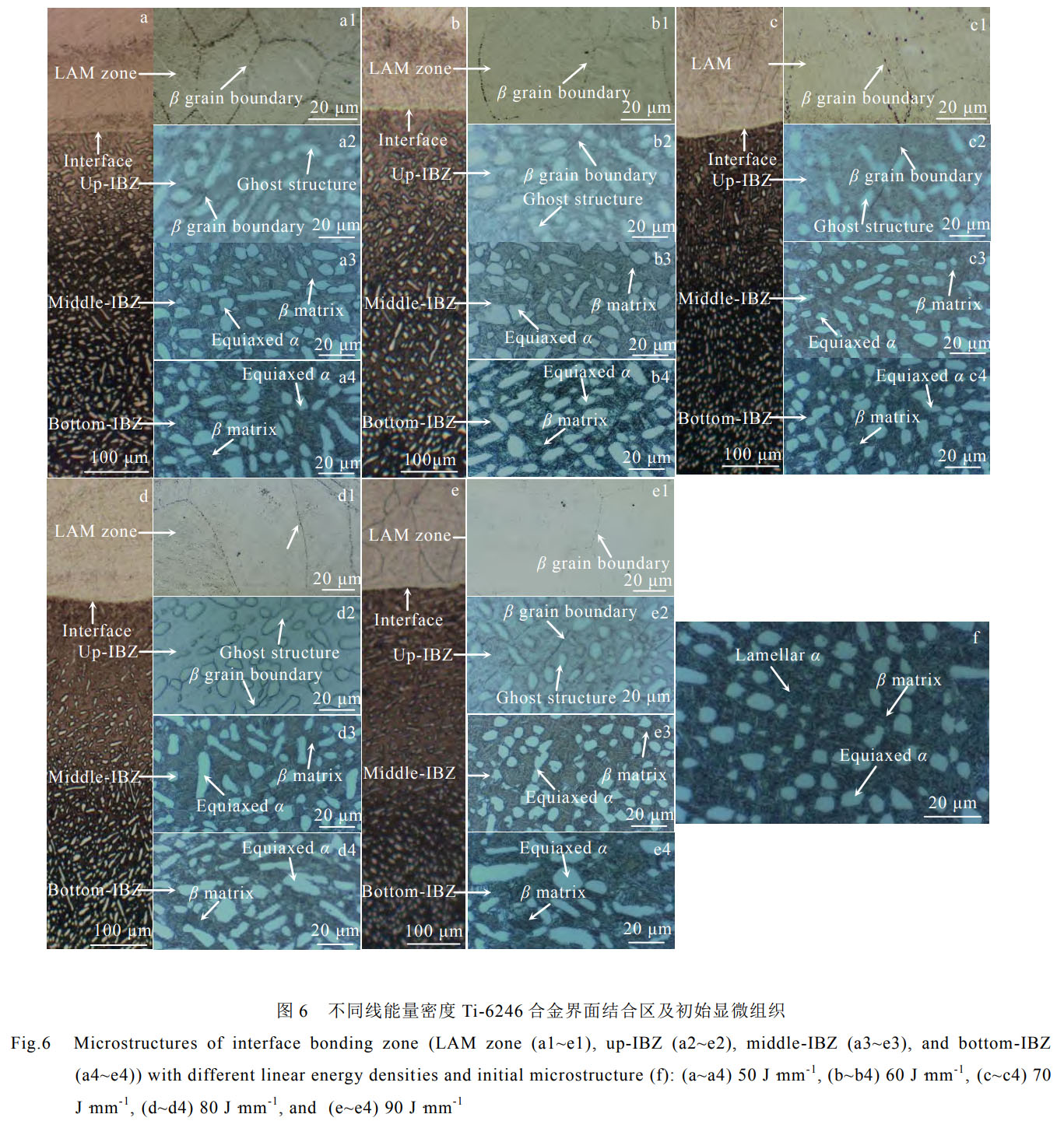 1759115755383761.jpg 未標(biāo)題-1.jpg