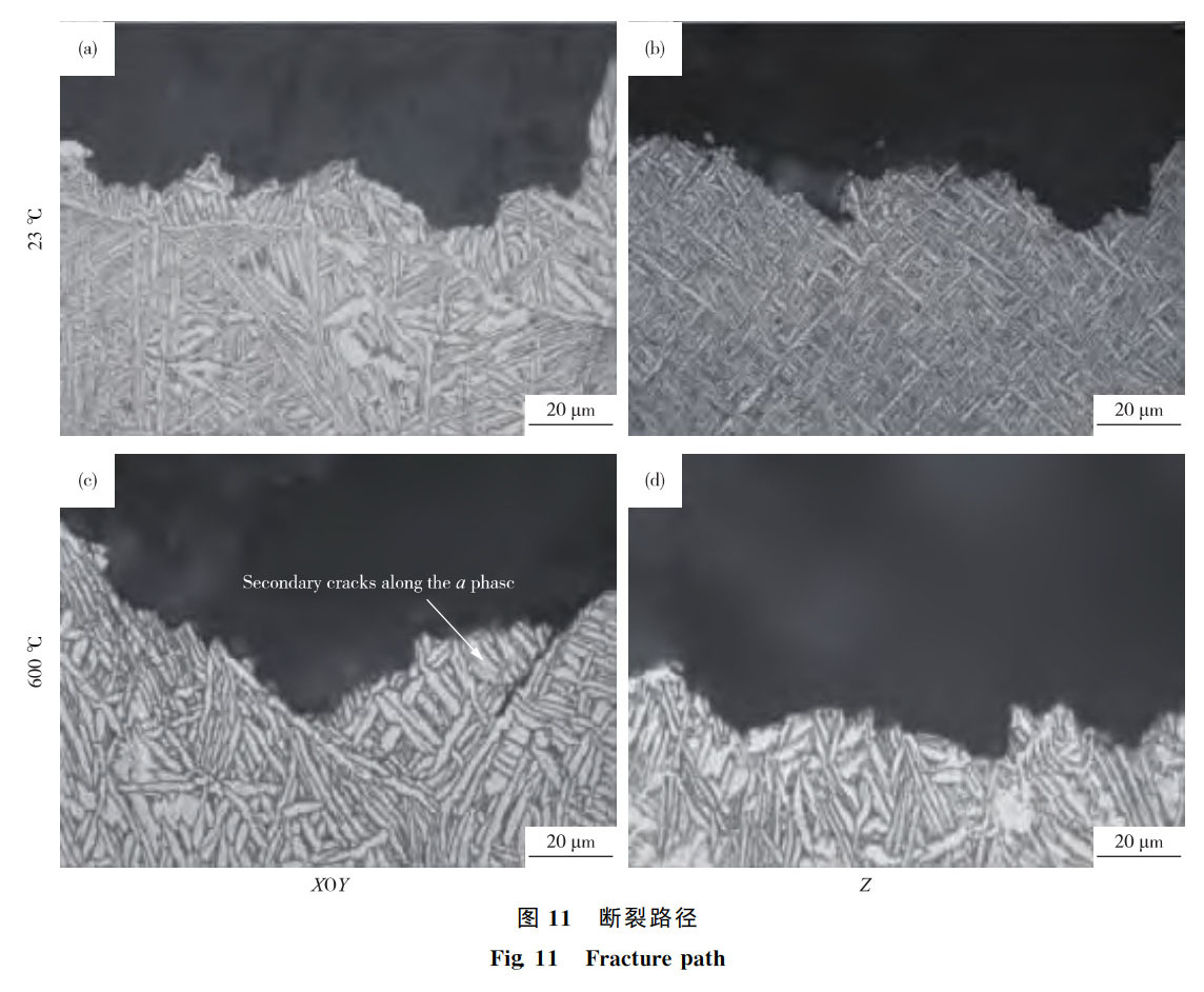 1762347924706637.jpg 激光沉積Ti65鈦合金拉伸性能_周松_10.jpg