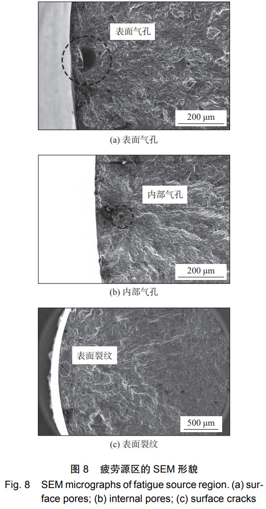 1766307435849480.jpg 8.jpg