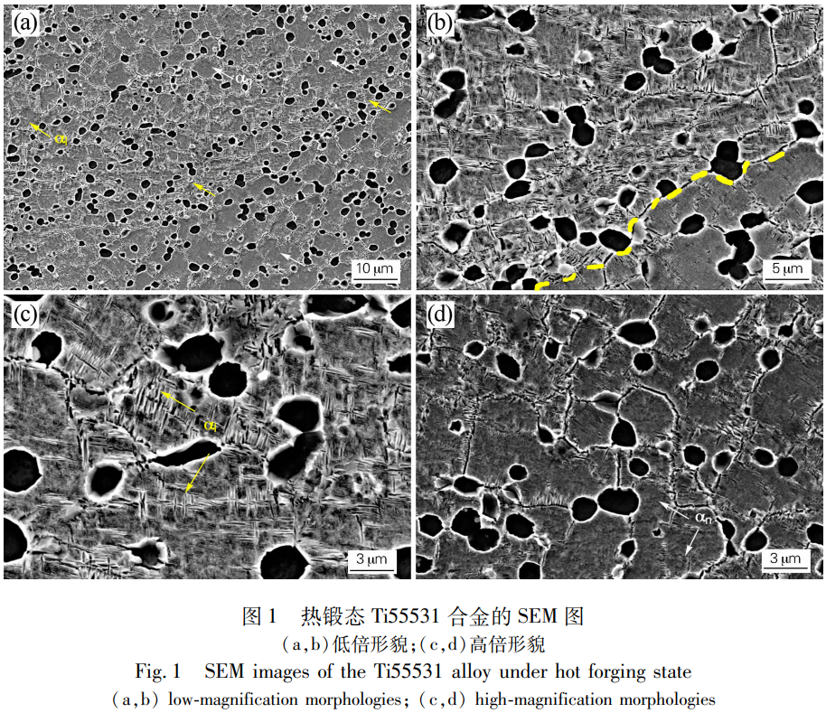 1766459426905723.png 截圖20251223110541.png