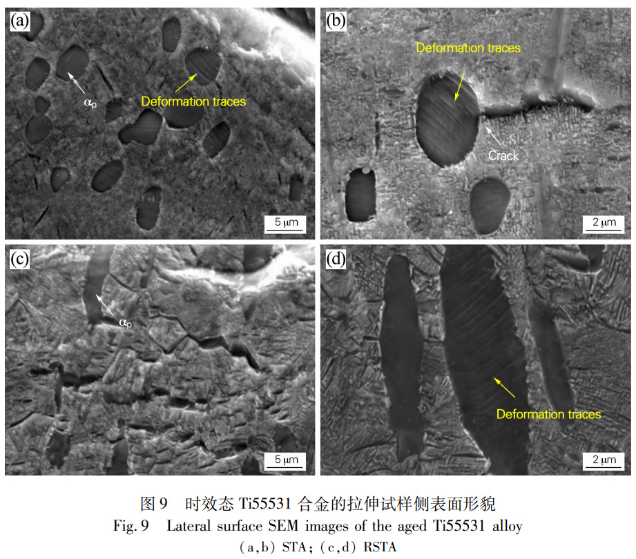 1766459538797306.jpg 未標(biāo)題-2.jpg