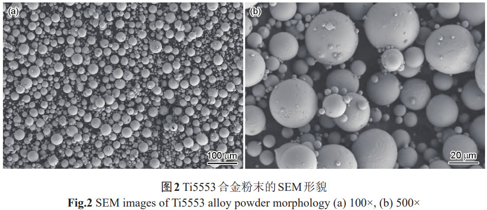 1768823793833667.png 2.png