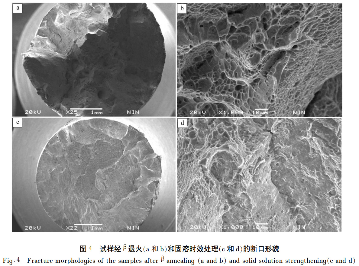 1768877403931148.jpg 4.jpg